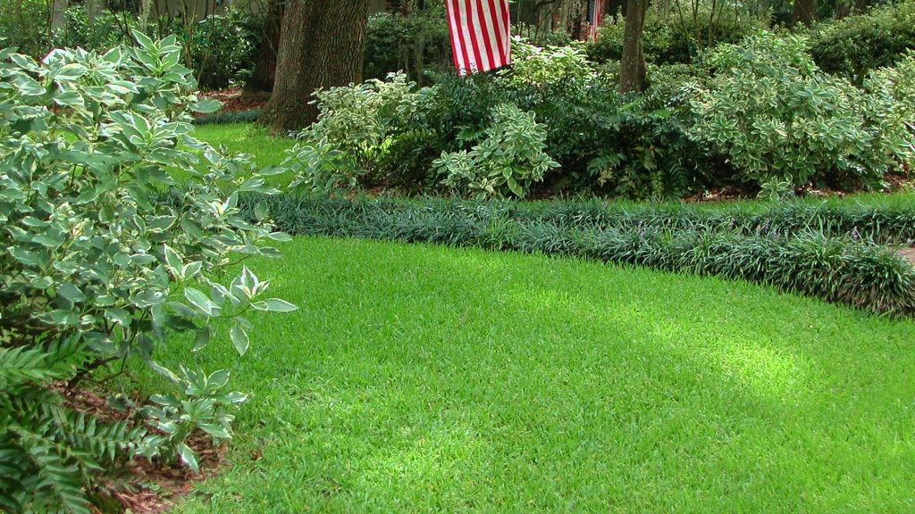 staugustinesodbatonrougedenhamspringsprairievillelouisiana3