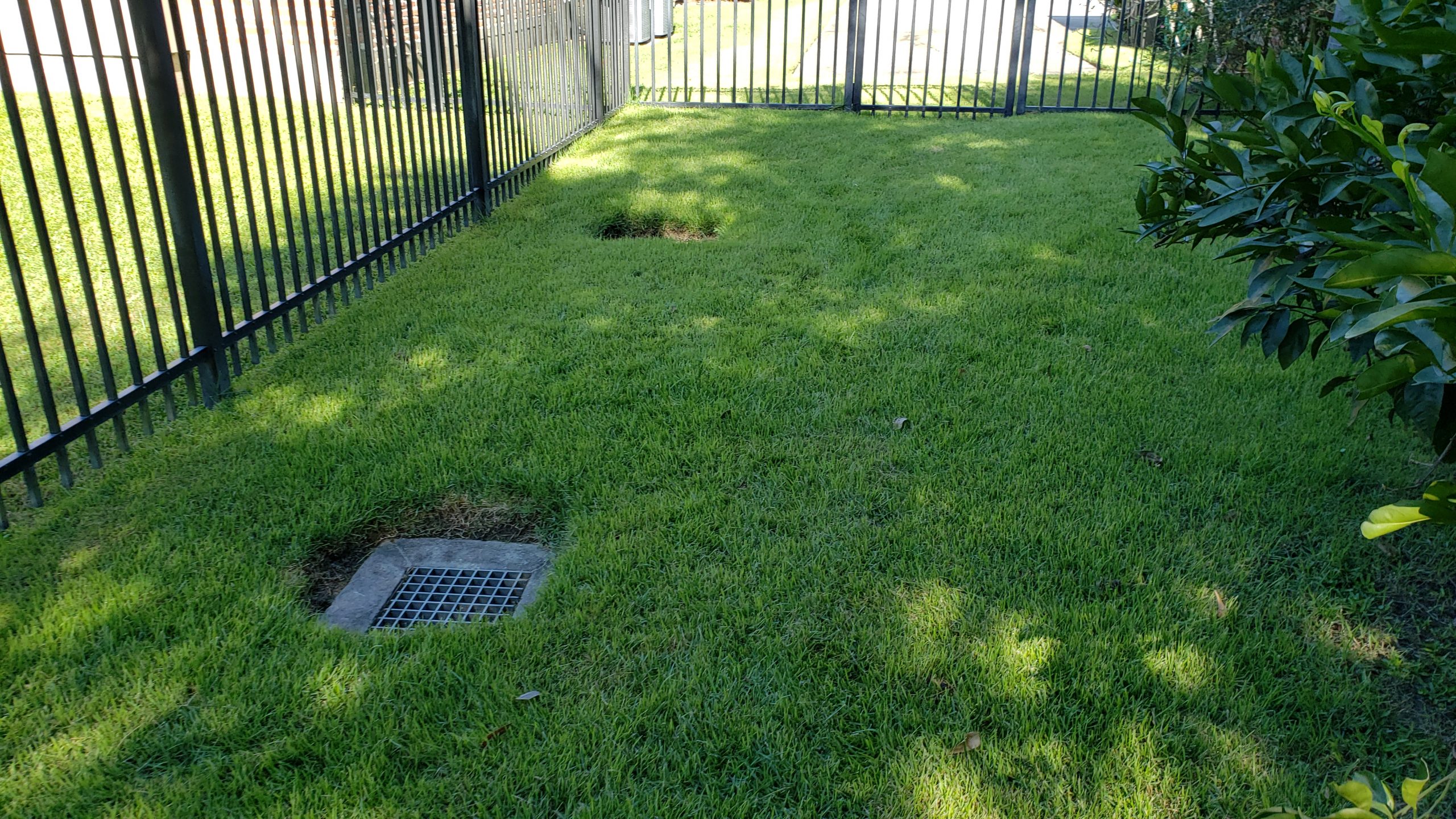 outdoorla Landscaping Baton Rouge and Landscape Services in Baton